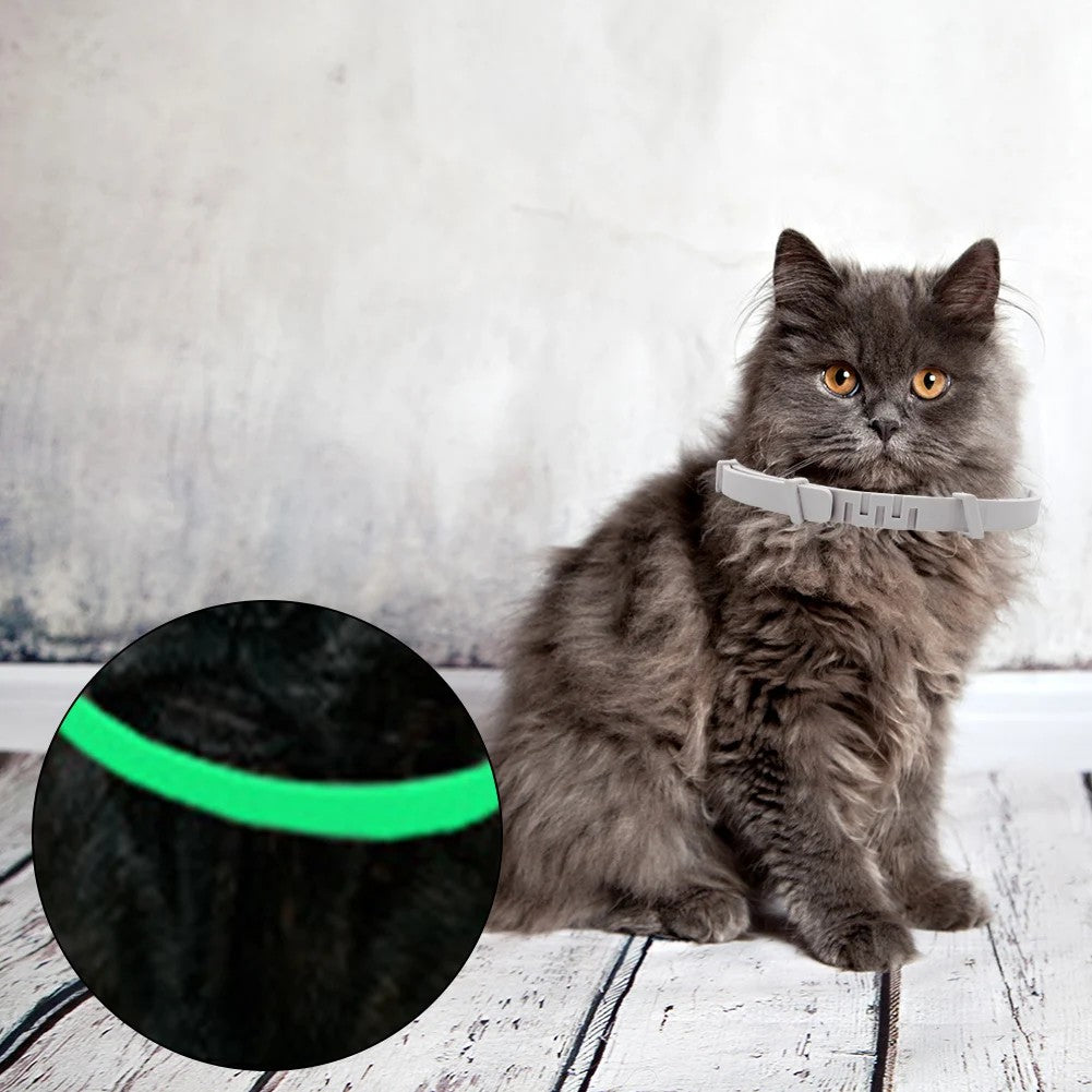 Luminous Flea & Tick Collar – 8 Months Protection , Adjustable & Fluorescent for Dogs & Cats