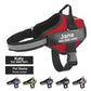 The Personalized No-Pull Dog Harness