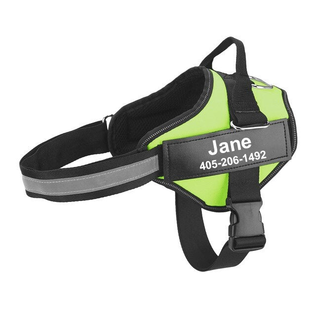 The Personalized No-Pull Dog Harness