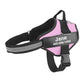 The Personalized No-Pull Dog Harness