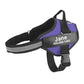The Personalized No-Pull Dog Harness