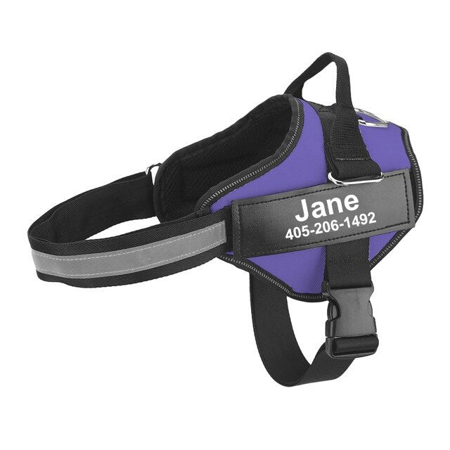The Personalized No-Pull Dog Harness