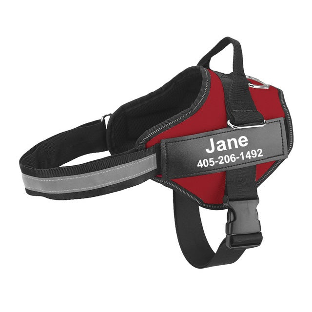 The Personalized No-Pull Dog Harness