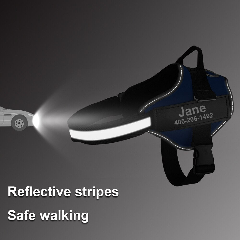 The Personalized No-Pull Dog Harness