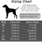 The Personalized No-Pull Dog Harness