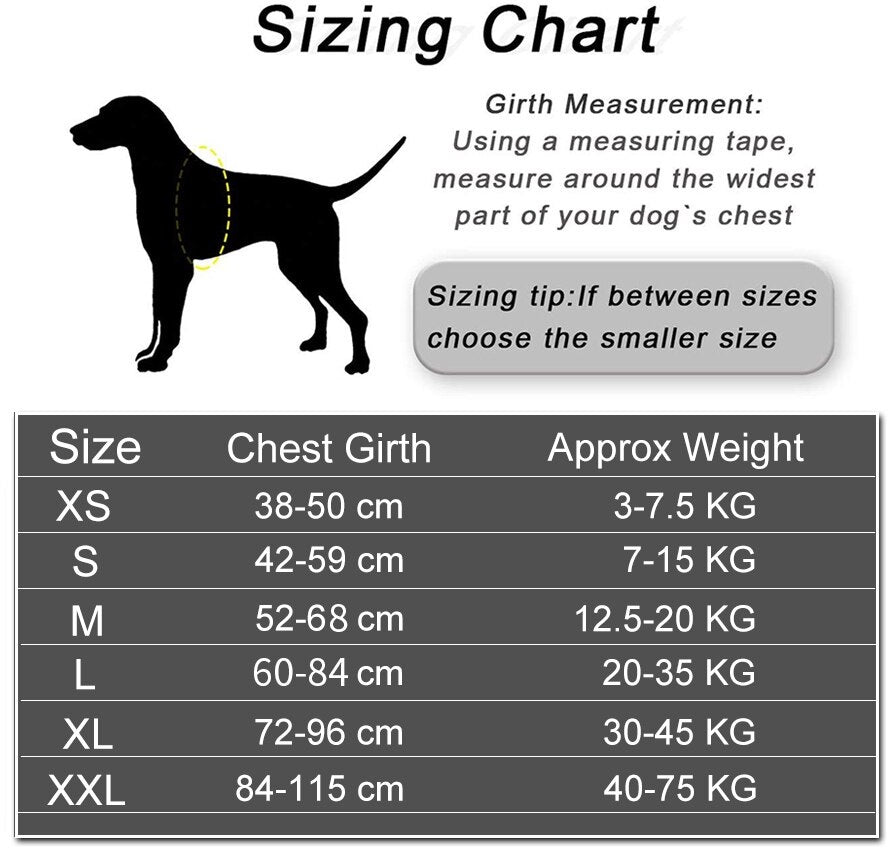 The Personalized No-Pull Dog Harness