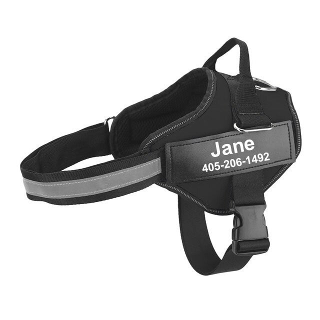 The Personalized No-Pull Dog Harness